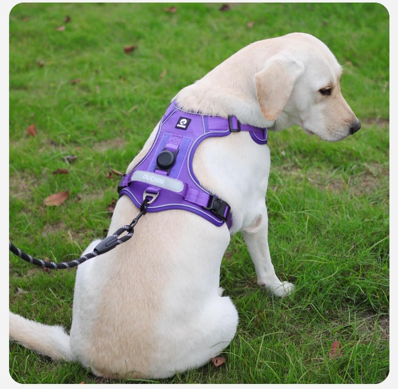 AirTag-Ready No-Pull Dog Harness with AirTag Holder-PawWave,Adjustable Reflective Vest for Medium & Large Dogs