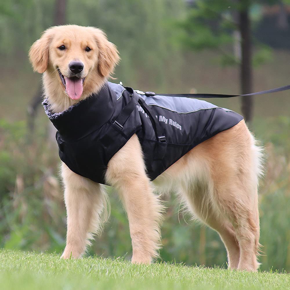 Waterproof Dog Winter Coat with Fur Collar, Reflective Details, Adjustable Straps, Black