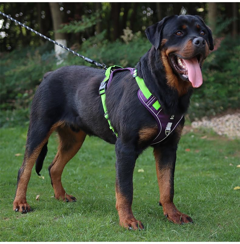 PawWave Tactical Dog Harness, Military-Style Working Dog Vest, Medium/Large Breeds, Black/Red