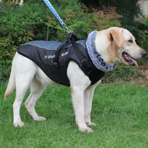 Waterproof Dog Winter Coat with Fur Collar, Reflective Details, Adjustable Straps, Black
