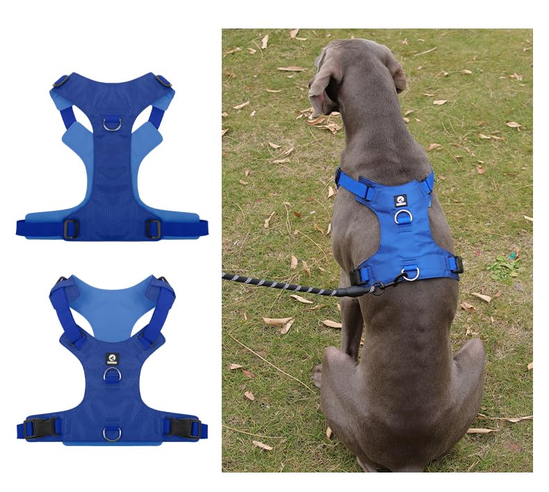 Heavy Duty Dog Harness, No Pull Design, Adjustable with D-Rings, Oxford Material, Black