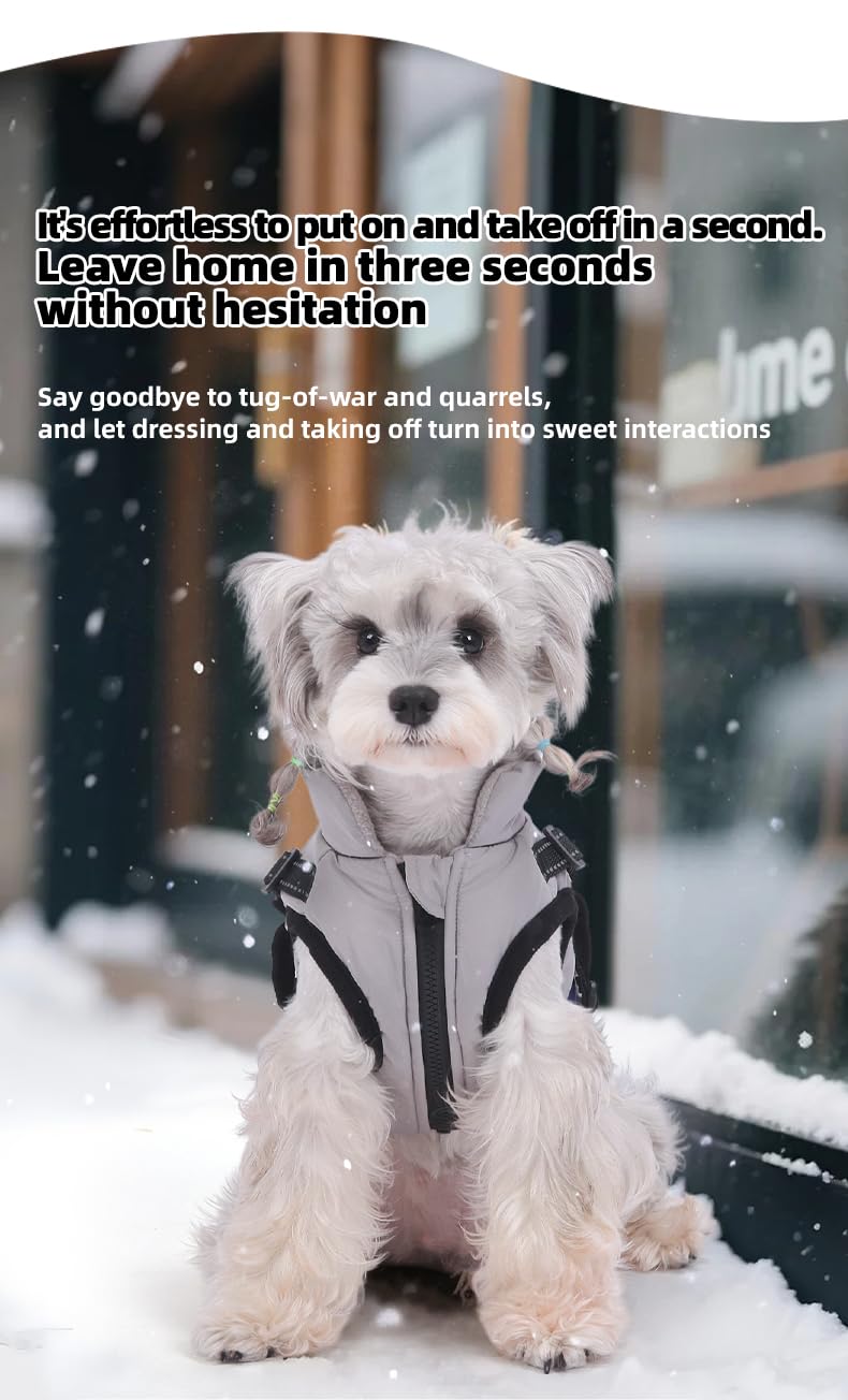 Winter Waterproof Dog Coat – Reflective, Color-Block Warm Jacket for Small & Medium Dogs