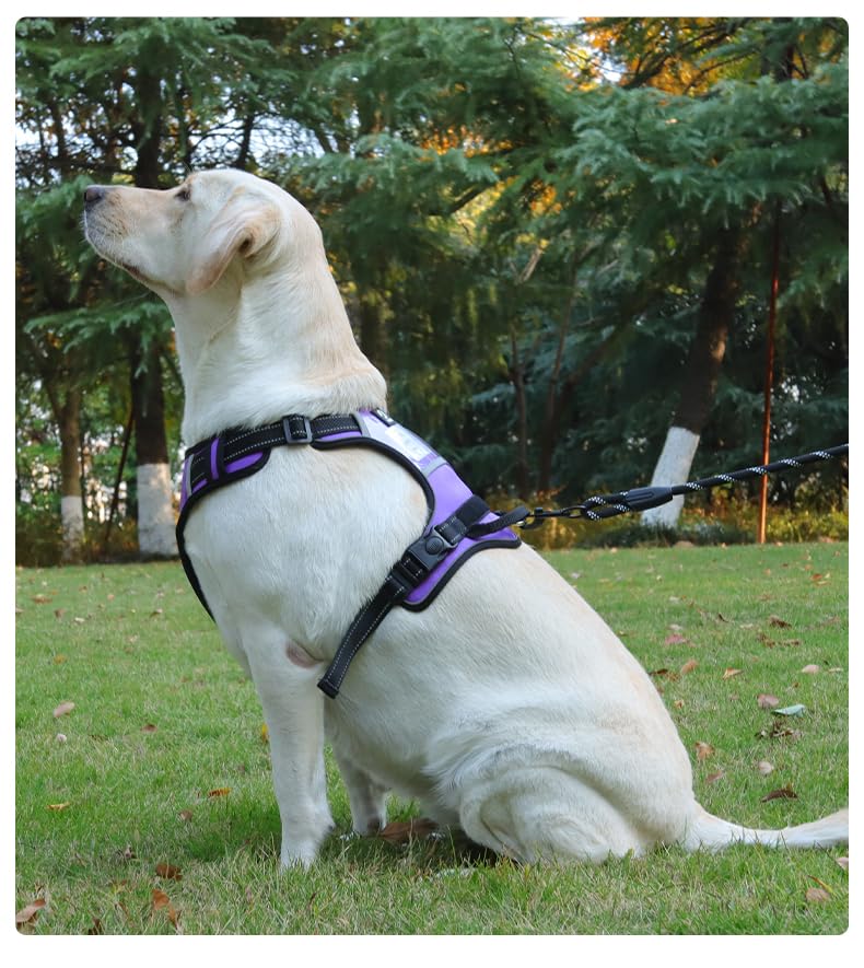 No-Pull Dog Harness with Safety Features, Reflective Stitching, Metal Ring, Blue and Black