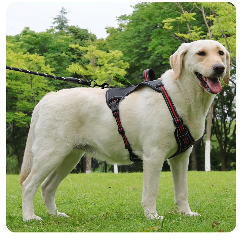 No-Pull Dog Harness with Storage Space, Reflective Design, Adjustable Straps, Oxford Cloth Material