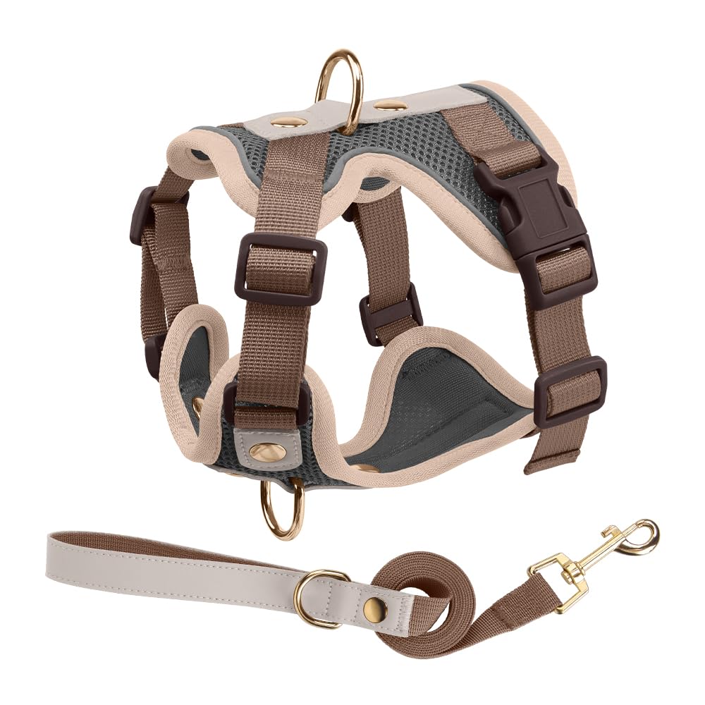 Luxury Gold Studded No Pull Dog Harness with Leash-Adjustable Chest Vest for Small & Medium Dogs, Stylish Padded Harness for Walking and Training