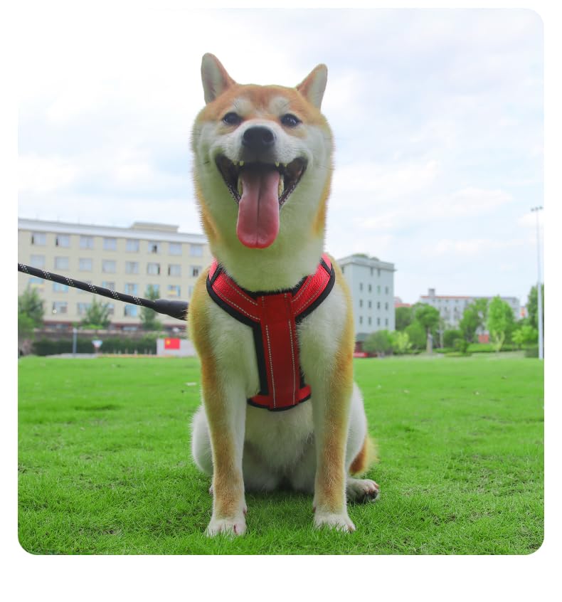 All-Season No-Pull Dog Harnessss for Walking, Training & Travel. Medium and Large Dogs