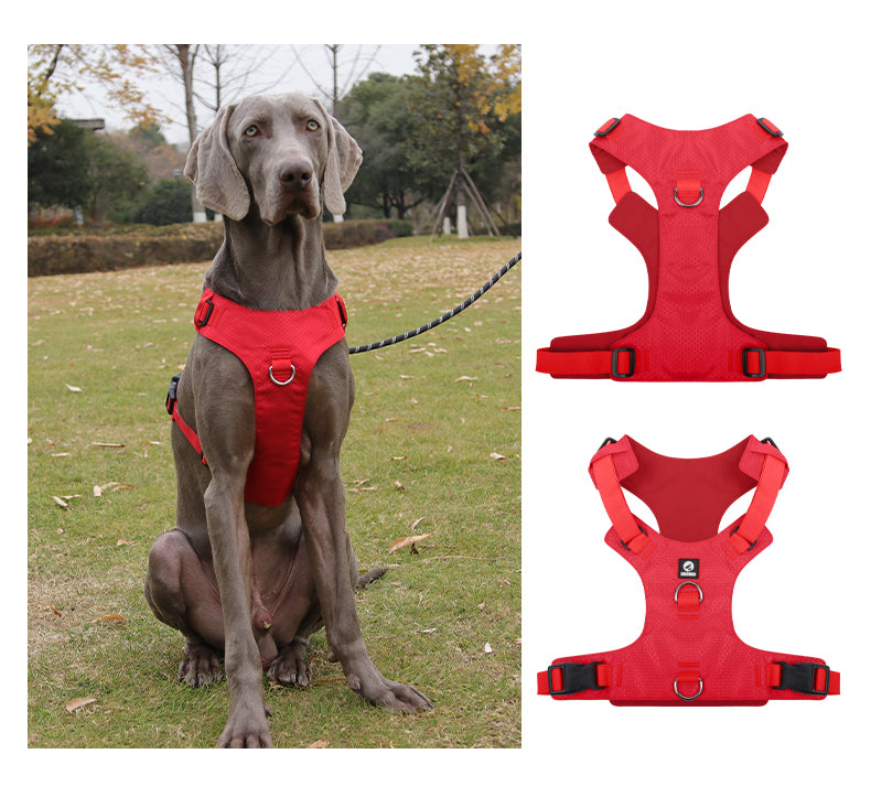 Heavy Duty Dog Harness, No Pull Design, Adjustable with D-Rings, Oxford Material