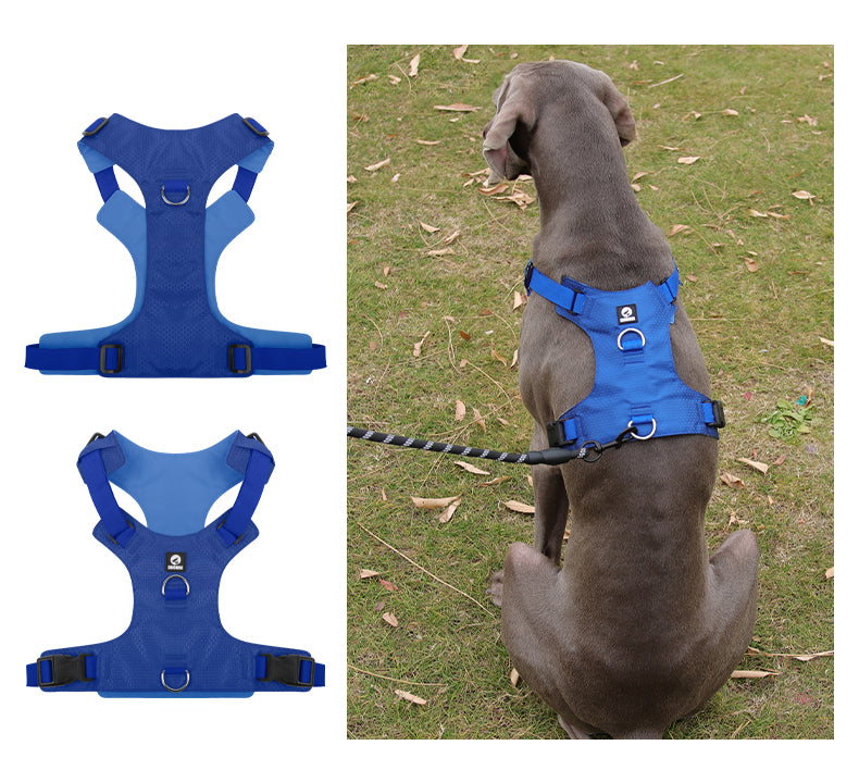Heavy Duty Dog Harness, No Pull Design, Adjustable with D-Rings, Oxford Material