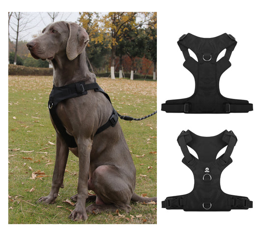 Heavy Duty Dog Harness, No Pull Design, Adjustable with D-Rings, Oxford Material