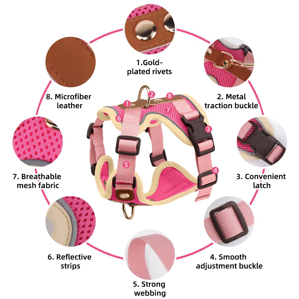 Luxury Gold Studded No Pull Dog Harness with Leash-Adjustable Chest Vest for Small & Medium Dogs, Stylish Padded Harness for Walking and Training