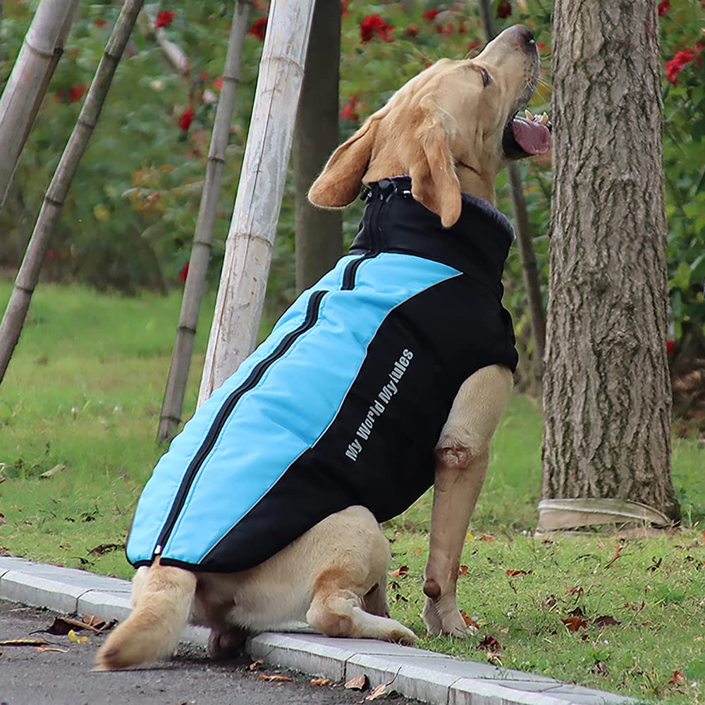 Waterproof Dog Winter Coat with Fur Collar, Reflective Details, Adjustable Straps, Black