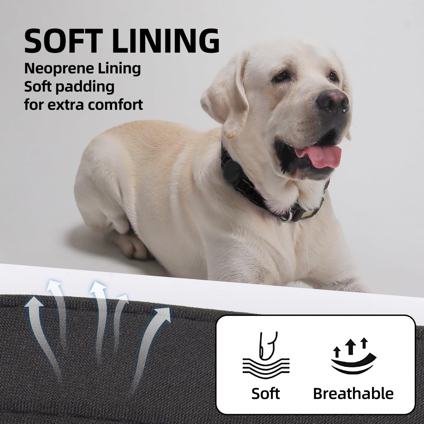 Dog Collar and Leash Set, Reflective with AirTag Holder, Padded Lining