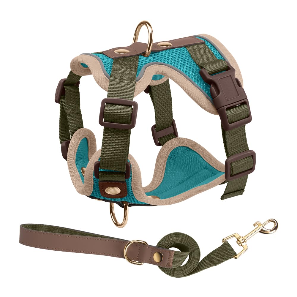 Luxury Gold Studded No Pull Dog Harness with Leash-Adjustable Chest Vest for Small & Medium Dogs, Stylish Padded Harness for Walking and Training