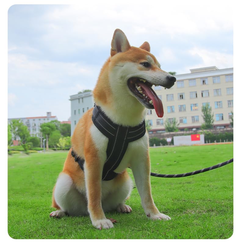 All-Season No-Pull Dog Harnessss for Walking, Training & Travel. Medium and Large Dogs