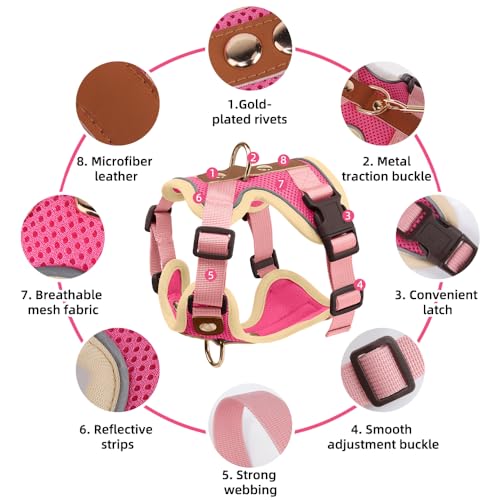 Luxury Gold Studded No Pull Dog Harness with Leash-Adjustable Chest Vest for Small & Medium Dogs, Stylish Padded Harness for Walking and Training