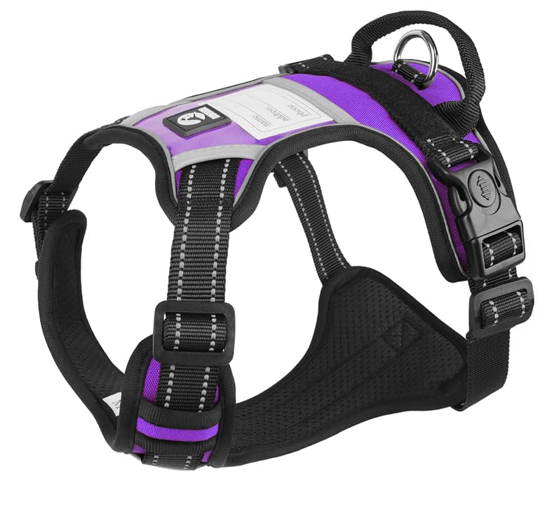 No-Pull Dog Harness with Safety Features, Reflective Stitching, Metal Ring, Blue and Black