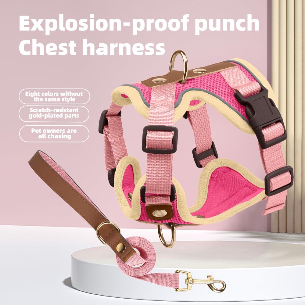 Luxury Gold Studded No Pull Dog Harness with Leash-Adjustable Chest Vest for Small & Medium Dogs, Stylish Padded Harness for Walking and Training