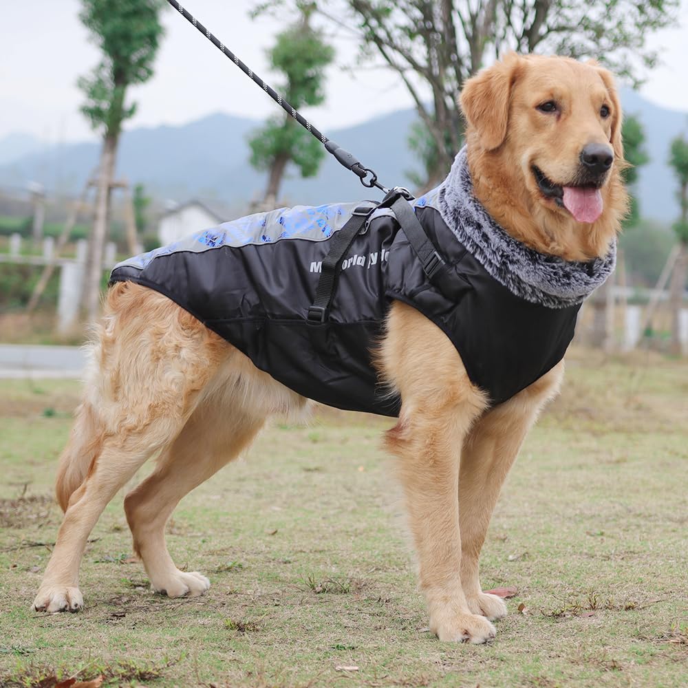 Waterproof Dog Winter Coat with Fur Collar, Reflective Details, Adjustable Straps, Black