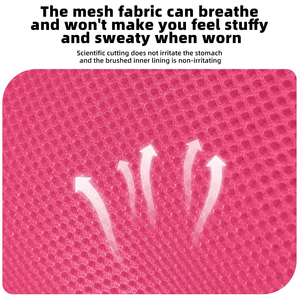 Luxury Gold Studded No Pull Dog Harness with Leash-Adjustable Chest Vest for Small & Medium Dogs, Stylish Padded Harness for Walking and Training