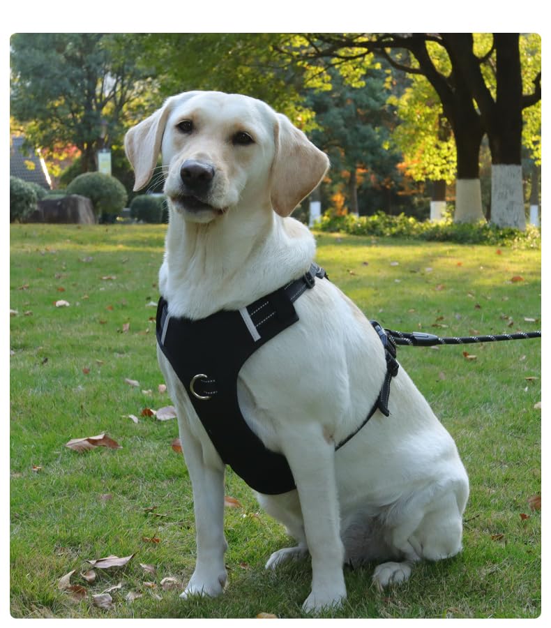 No-Pull Dog Harness with Safety Features, Reflective Stitching, Metal Ring, Blue and Black