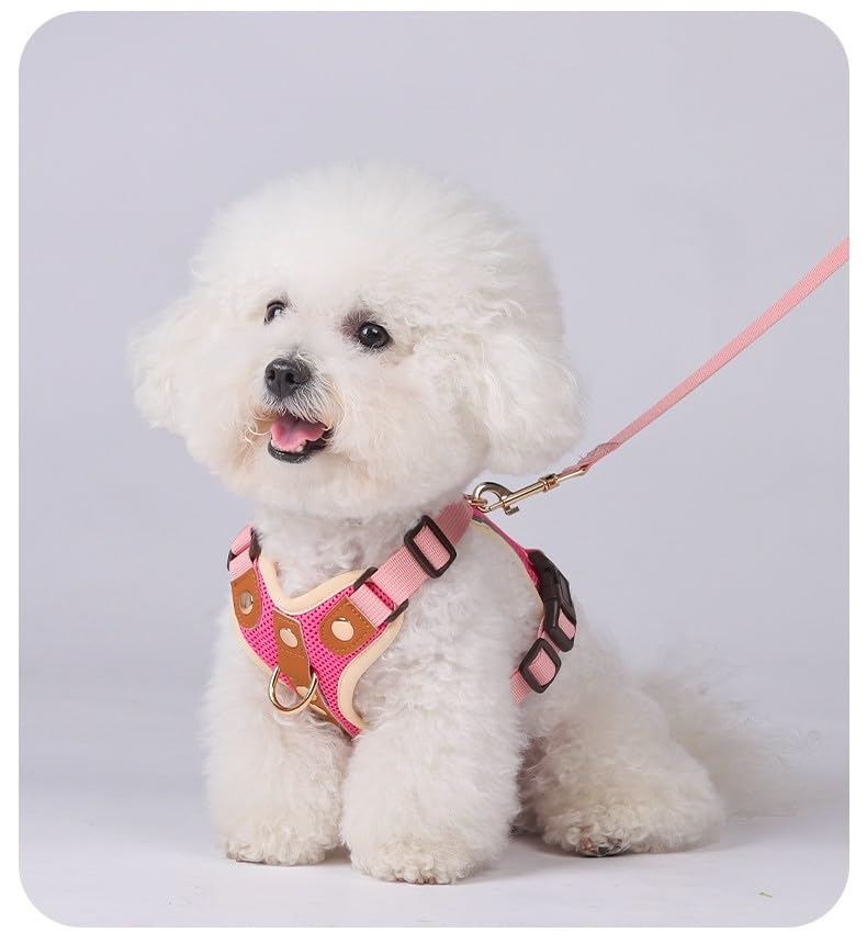 Luxury Gold Studded No Pull Dog Harness with Leash-Adjustable Chest Vest for Small & Medium Dogs, Stylish Padded Harness for Walking and Training