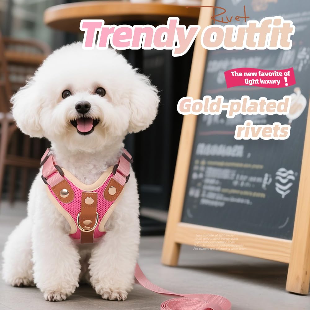 Luxury Gold Studded No Pull Dog Harness with Leash-Adjustable Chest Vest for Small & Medium Dogs, Stylish Padded Harness for Walking and Training
