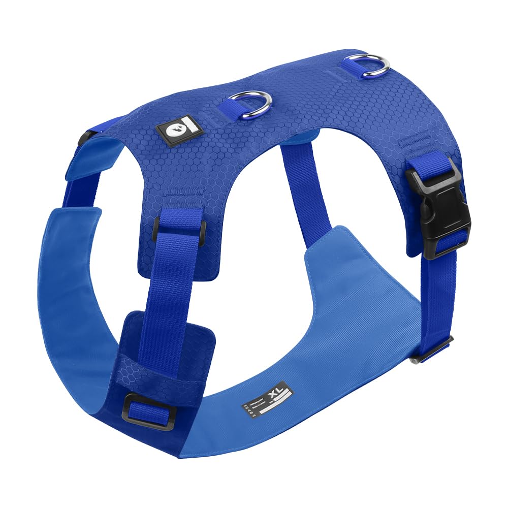 Heavy Duty Dog Harness, No Pull Design, Adjustable with D-Rings, Oxford Material, Black