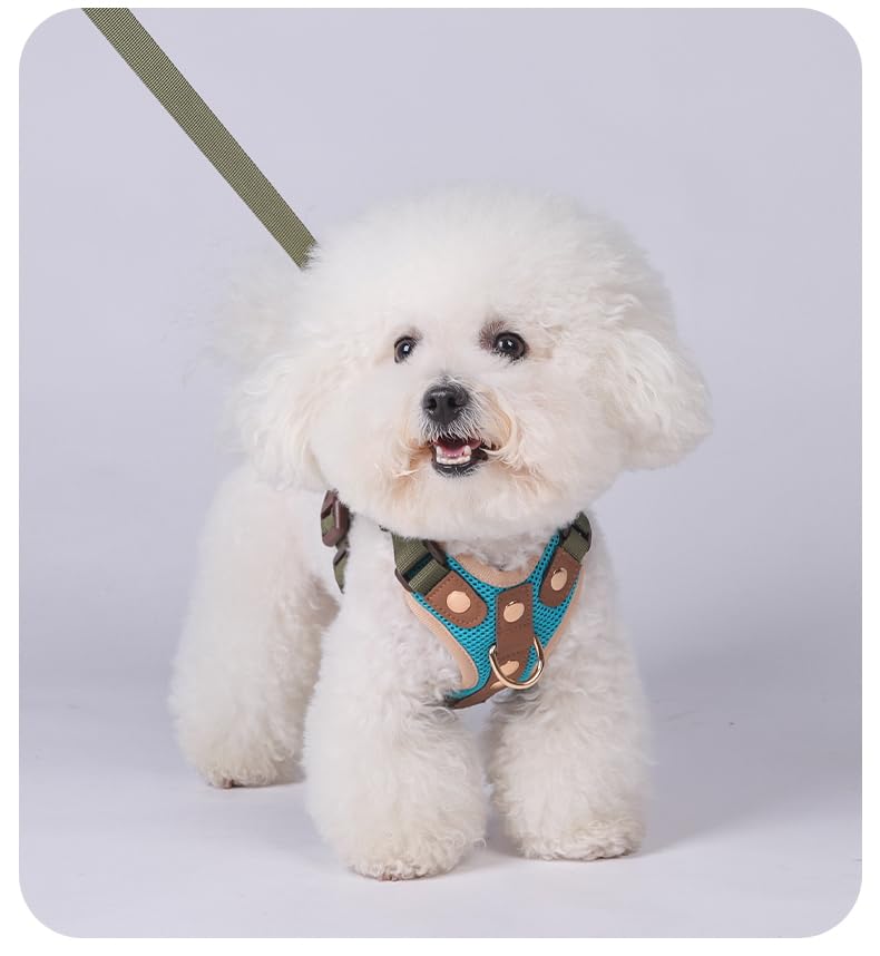 Luxury Gold Studded No Pull Dog Harness with Leash-Adjustable Chest Vest for Small & Medium Dogs, Stylish Padded Harness for Walking and Training