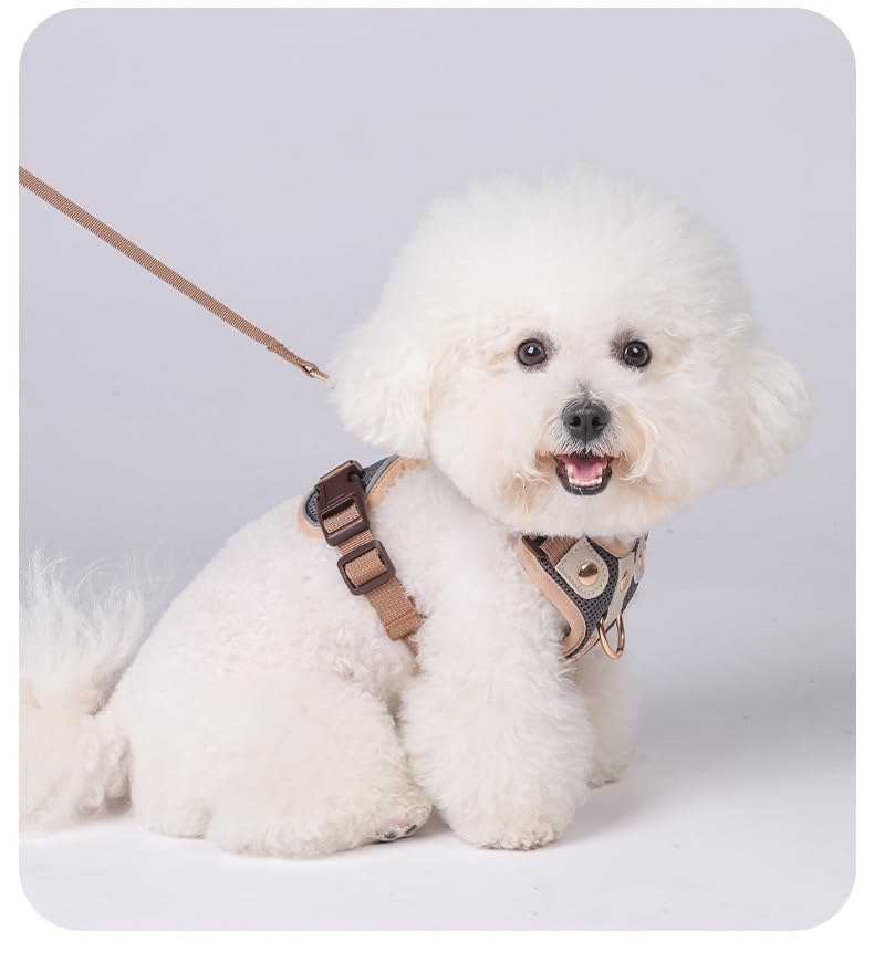 Luxury Gold Studded No Pull Dog Harness with Leash-Adjustable Chest Vest for Small & Medium Dogs, Stylish Padded Harness for Walking and Training