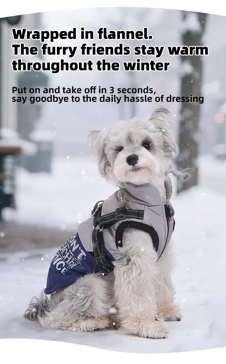 Winter Waterproof Dog Coat – Reflective, Color-Block Warm Jacket for Small & Medium Dogs