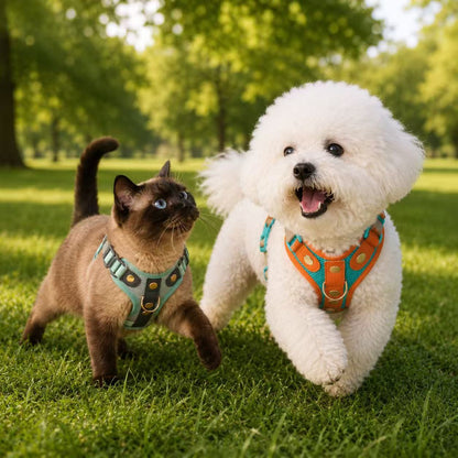 PawWave No-Pull Dog Harness, Leash and Car Safety Leash Set, Front Clip Lightweight Mesh Vest for Small and Medium Dogs