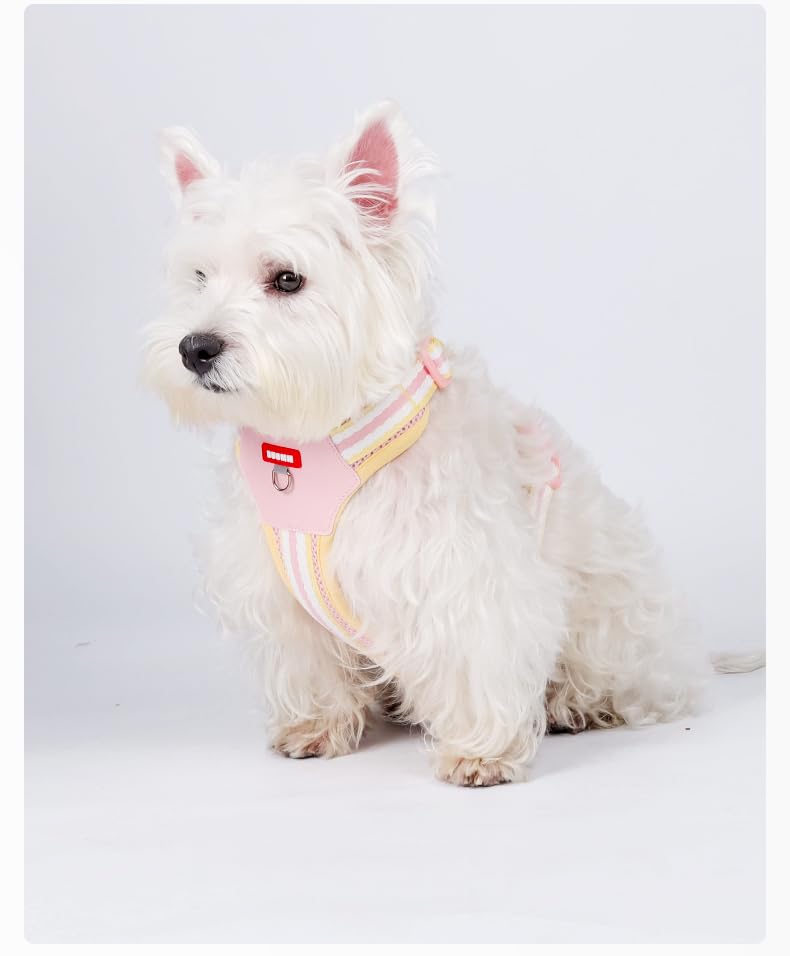 PawWave H Shape Dog Harness for Small and Medium Dogs, No Pull &, Escape-proff, Soft Mesh Vest, Adjustable Fit, Bright Yellow/Cream Blue/Sakura Pink,/Violet, XS-L