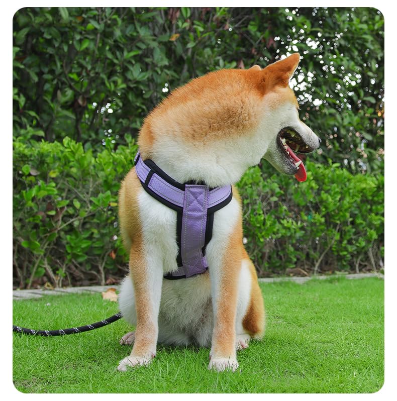 All-Season No-Pull Dog Harnessss for Walking, Training & Travel. Medium and Large Dogs