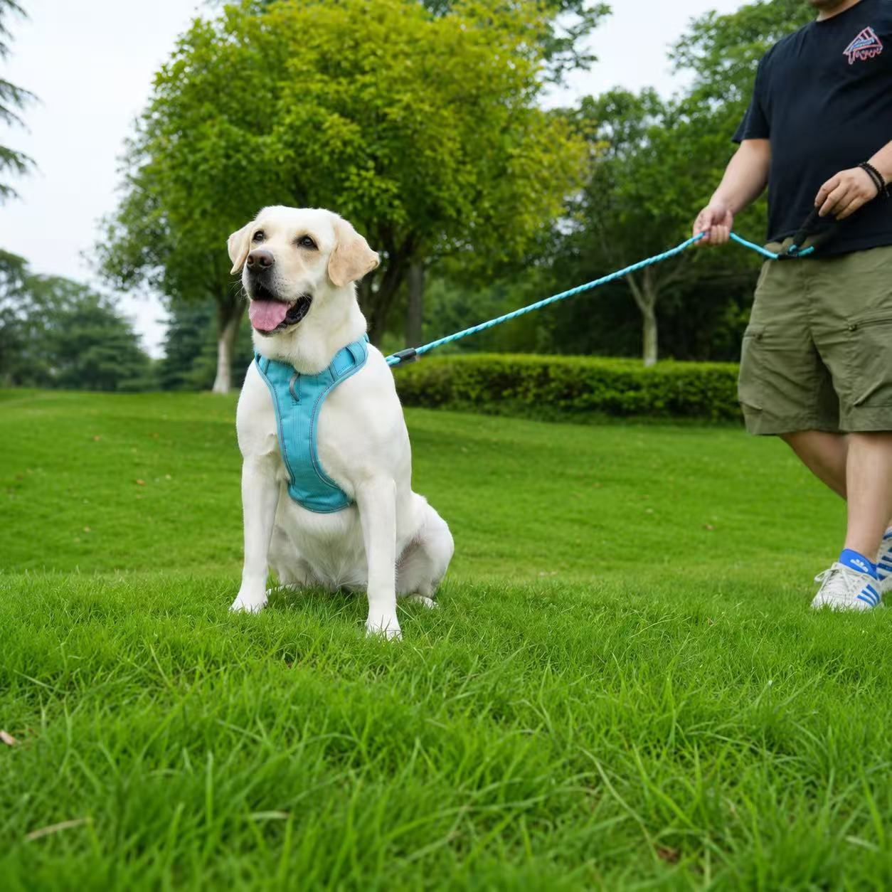 Matching Dog Harness and Leash Set with Hidden Tracker Pocket, Reflective No-Pull