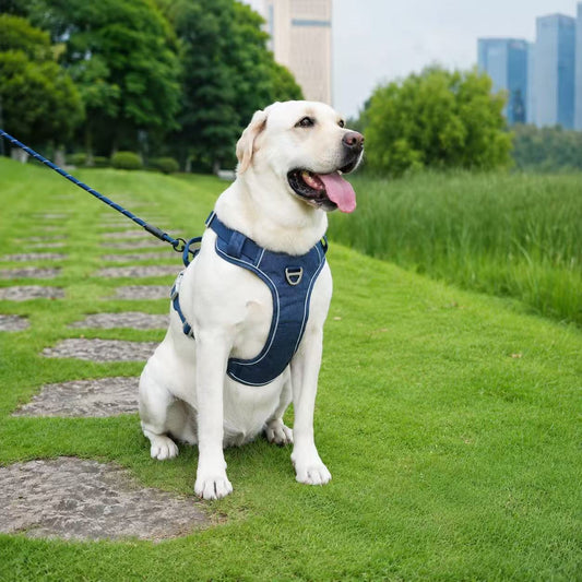 PawWave No Pull Dog Harness with Hidden Tracking Tag Holder– Soft Padded Reflective Vest plus Car Safety Leash set perfectly for small to Large Dogs