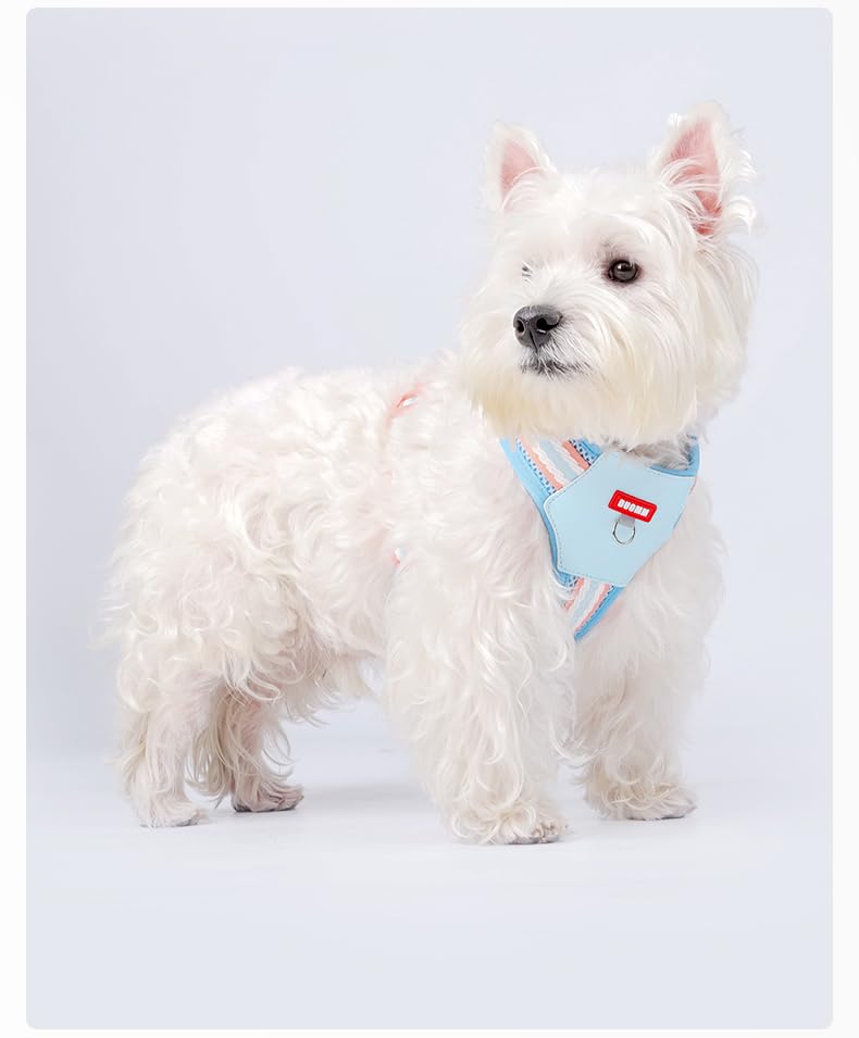 PawWave H Shape Dog Harness for Small and Medium Dogs, No Pull &, Escape-proff, Soft Mesh Vest, Adjustable Fit, Bright Yellow/Cream Blue/Sakura Pink,/Violet, XS-L