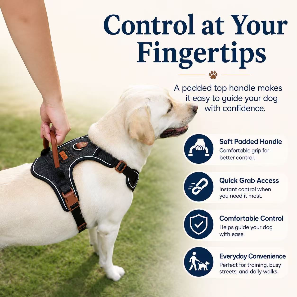 PawWave No pull Denim Dog Harness with Car Safety Leash set for daily stylish walks for small to Large Dogs