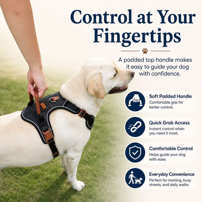 PawWave No pull Denim Dog Harness with Car Safety Leash set for daily stylish walks for small to Large Dogs