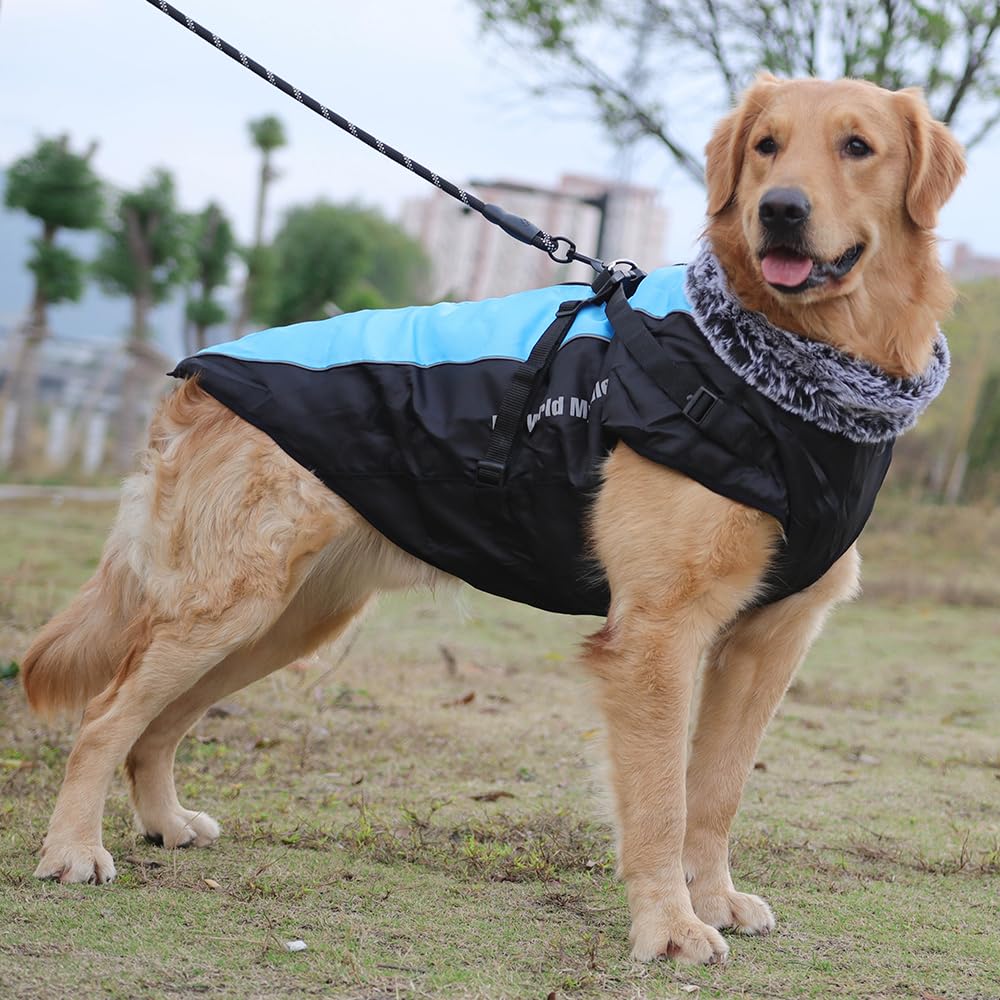 Waterproof Dog Winter Coat with Fur Collar, Reflective Details, Adjustable Straps, Black