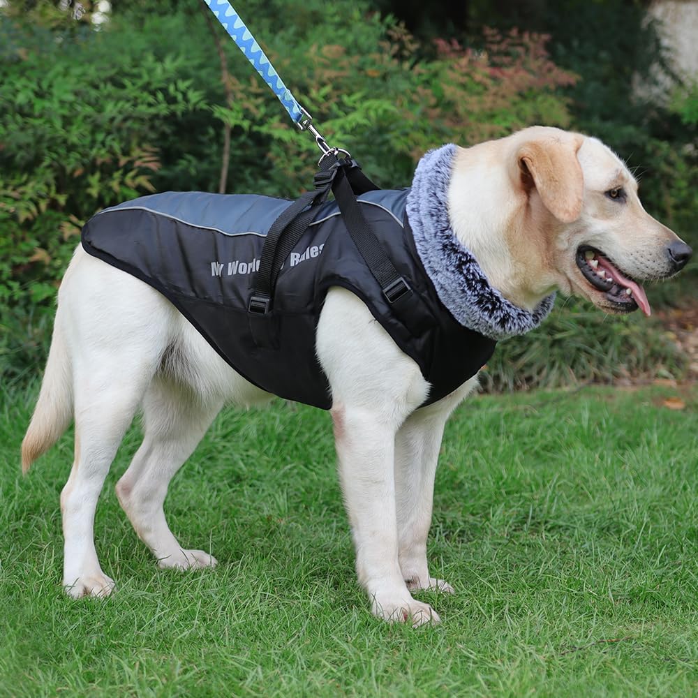 Waterproof Dog Winter Coat with Fur Collar, Reflective Details, Adjustable Straps, Black