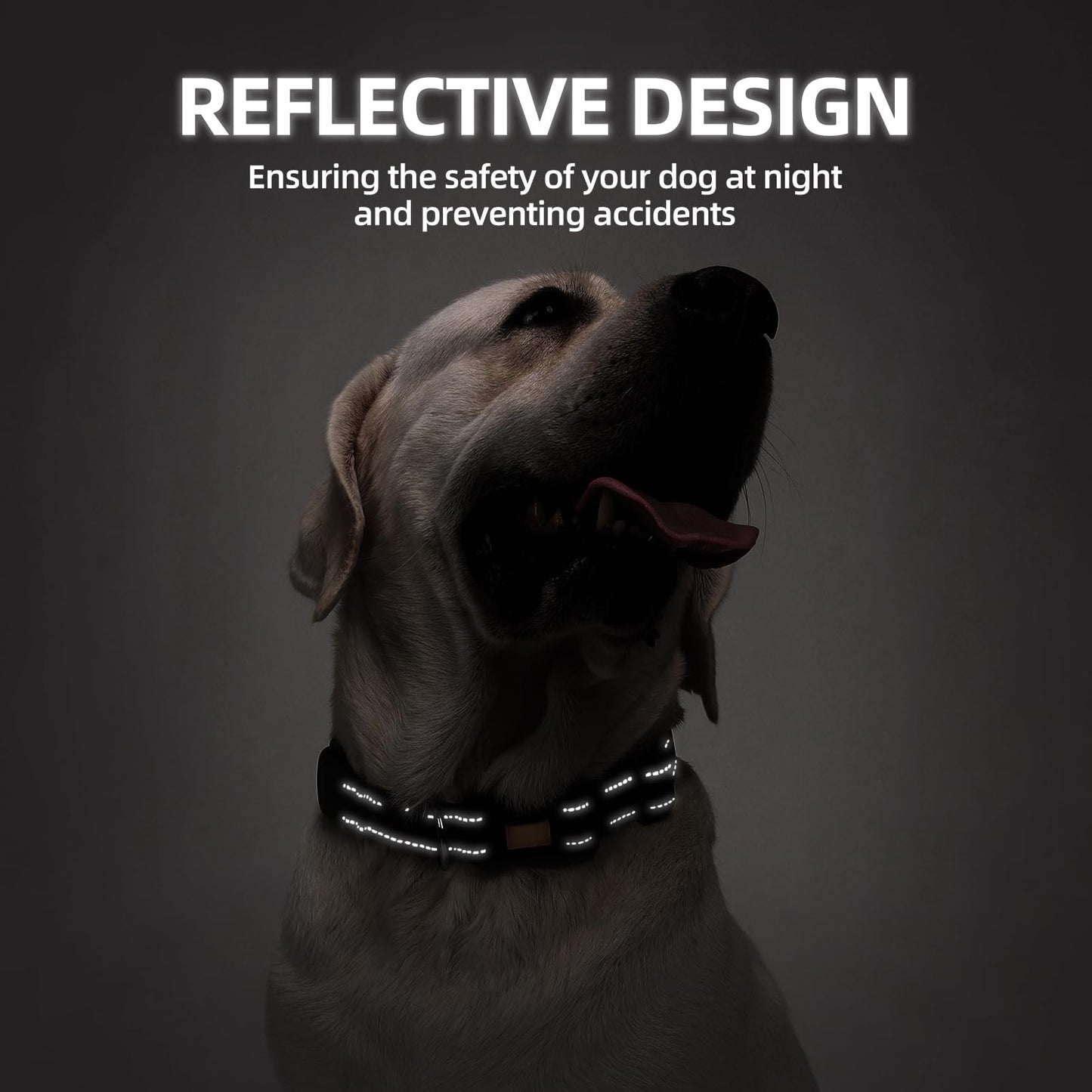 Dog Collar and Leash Set, Reflective with AirTag Holder, Padded Lining