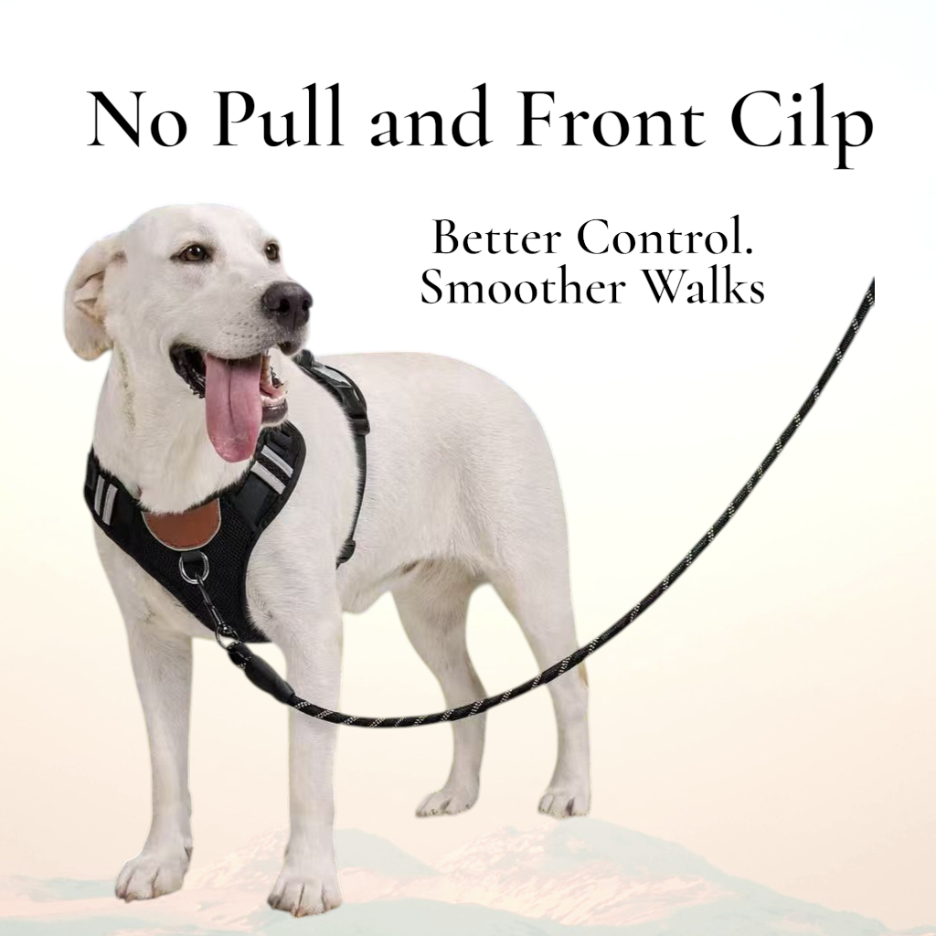 PawWave No-Pull Dog Harness with AirTag Holder adjustable dog vest plus Car safety leash set for small to large Dogs