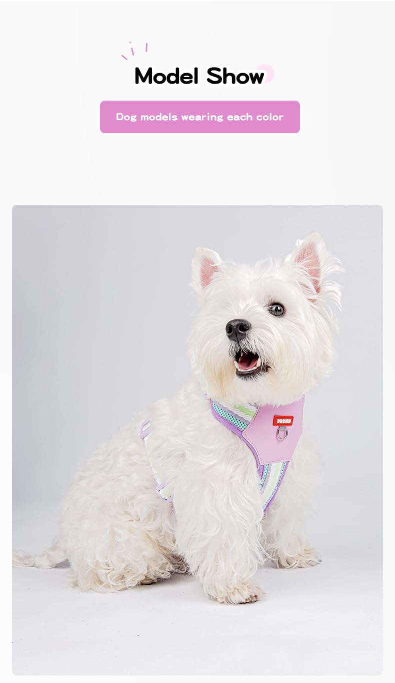 PawWave H Shape Dog Harness for Small and Medium Dogs, No Pull &, Escape-proff, Soft Mesh Vest, Adjustable Fit, Bright Yellow/Cream Blue/Sakura Pink,/Violet, XS-L