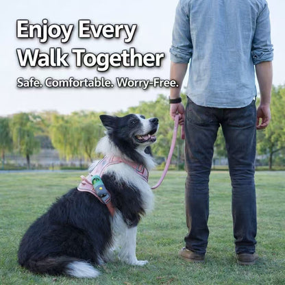 PawWave No Pull Dog Harness with Hidden Tracking Tag Holder– Soft Padded Reflective Vest plus Car Safety Leash set perfectly for small to Large Dogs
