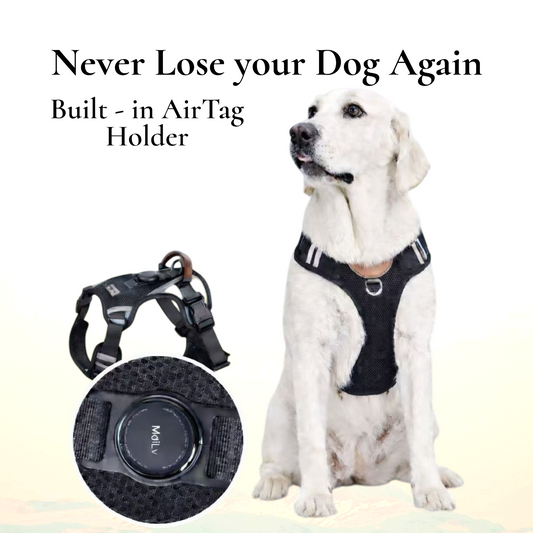PawWave No-Pull Dog Harness with AirTag Holder adjustable dog vest plus Car safety leash set for small to large Dogs