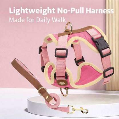 PawWave No-Pull Dog Harness, Leash and Car Safety Leash Set, Front Clip Lightweight Mesh Vest for Small and Medium Dogs