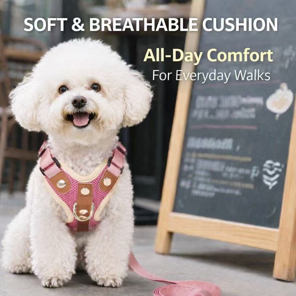 PawWave No-Pull Dog Harness, Leash and Car Safety Leash Set, Front Clip Lightweight Mesh Vest for Small and Medium Dogs