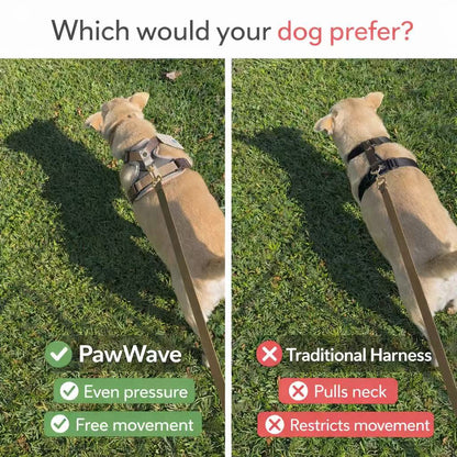 PawWave No-Pull Dog Harness, Leash and Car Safety Leash Set, Front Clip Lightweight Mesh Vest for Small and Medium Dogs