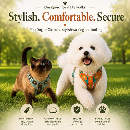 PawWave No-Pull Dog Harness, Leash and Car Safety Leash Set, Front Clip Lightweight Mesh Vest for Small and Medium Dogs
