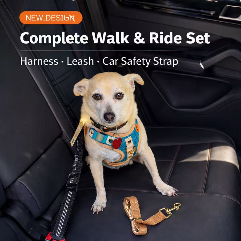 PawWave No-Pull Dog Harness, Leash and Car Safety Leash Set, Front Clip Lightweight Mesh Vest for Small and Medium Dogs